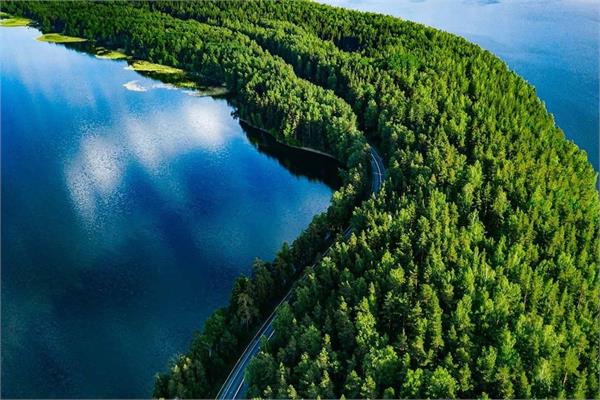 A river and a green forest