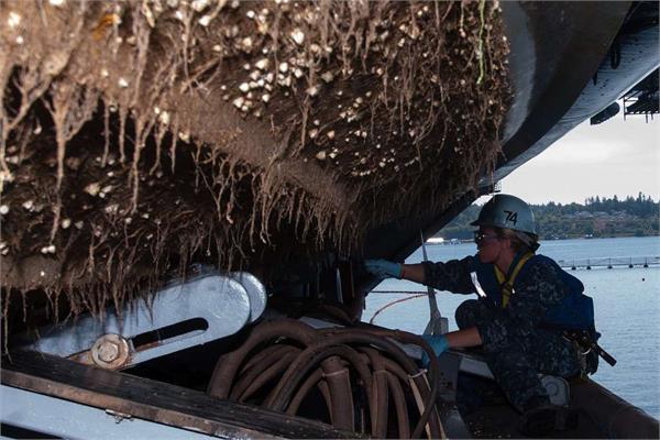 A woman removing biofouling from the hull of a ship
