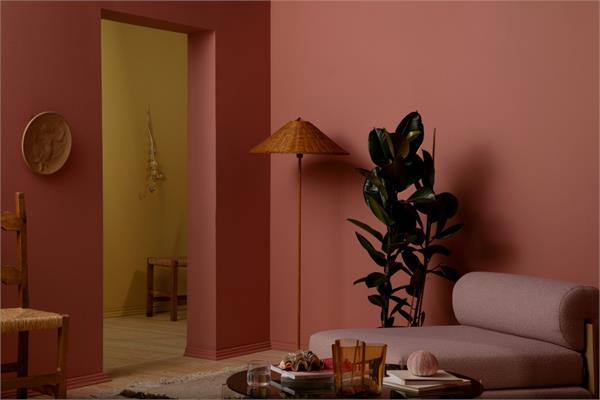 A wall painted with rosy moment